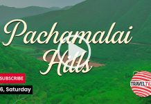 Pachamalai Hills: Tamil Nadu’s Hidden Paradise (July 25, 2025)