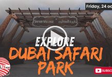 Dubai Safari Park  (October 24, 2025)