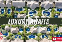 Luxury Awaits! (October 13, 2025)